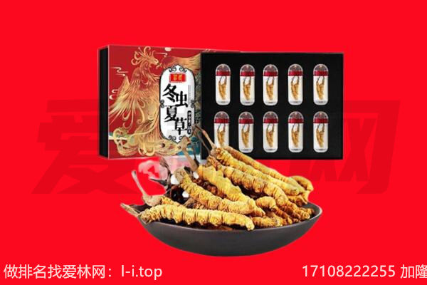 延安市黄陵回收虫草.jpg